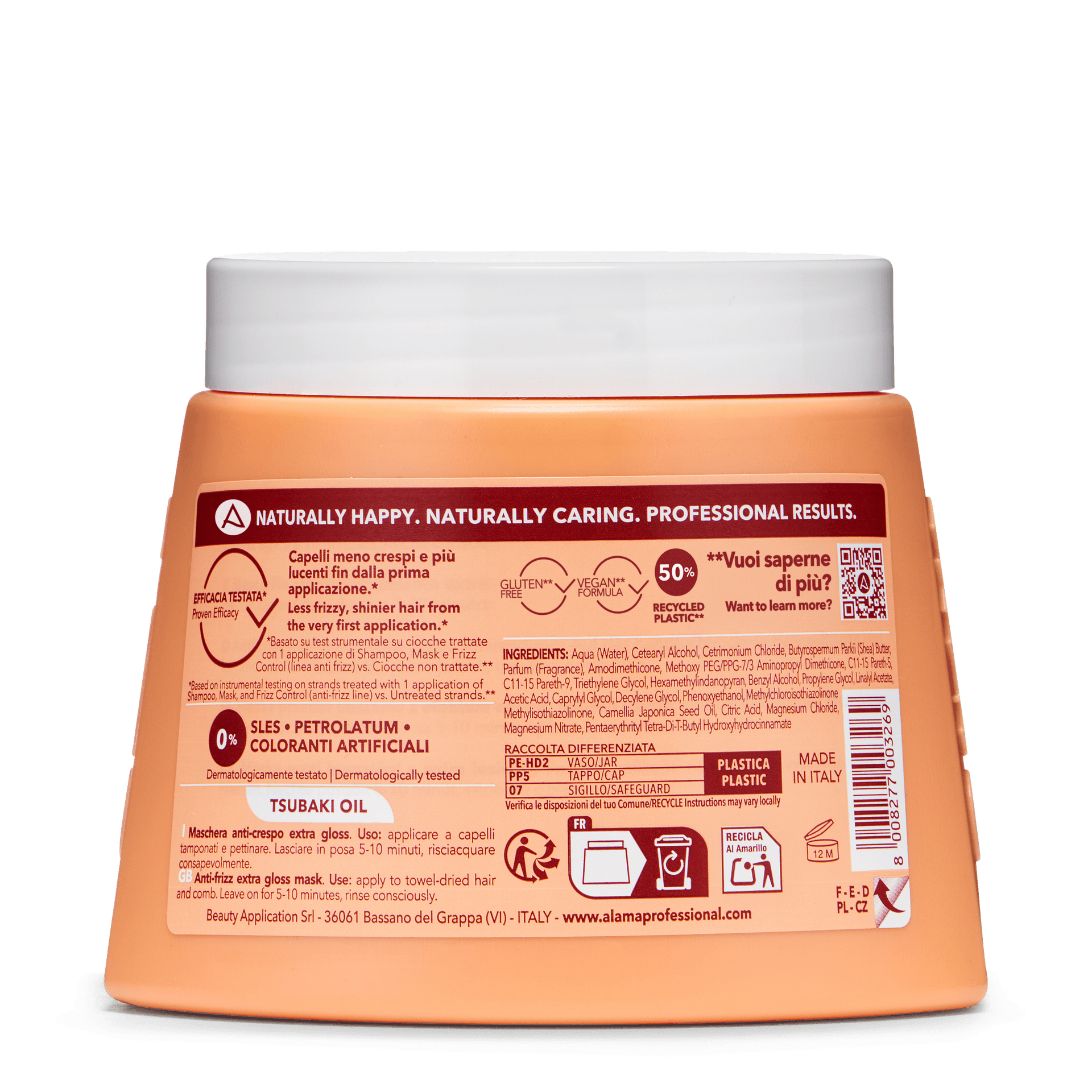 Anti Frizz Mask 1